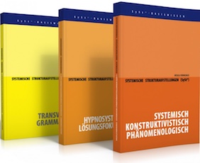 Systemische Strukturaufstellungen (SySt®)-image